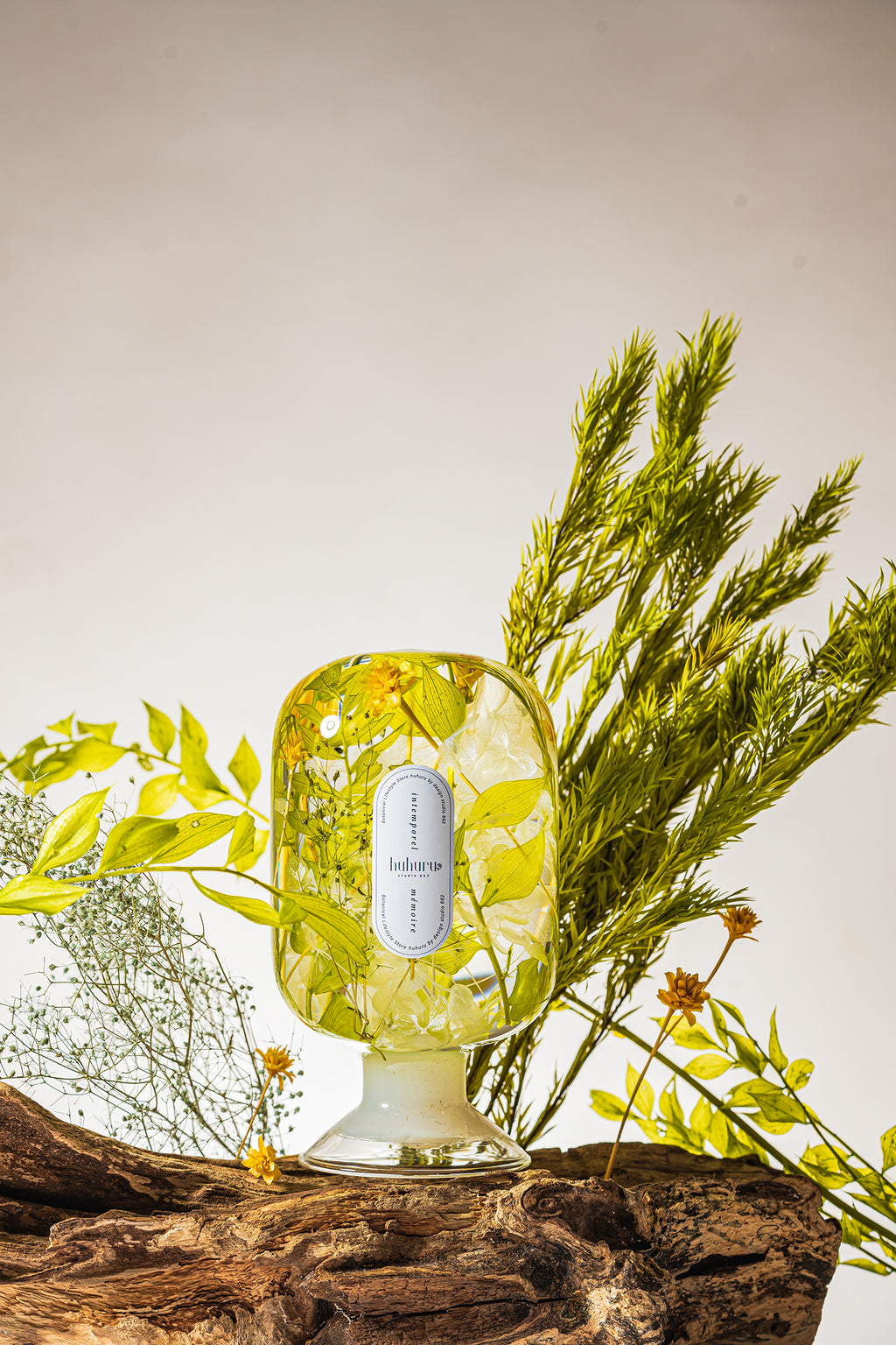 フェアリーテール(FA)