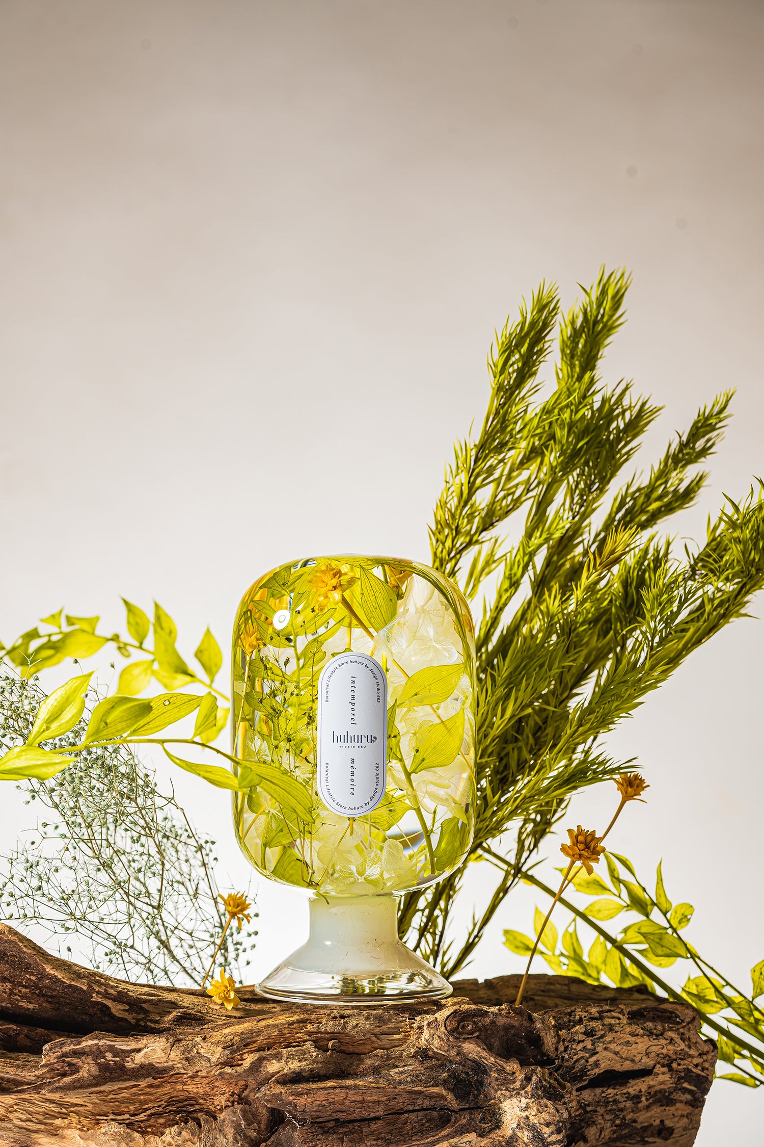 フェアリーテール(FA)