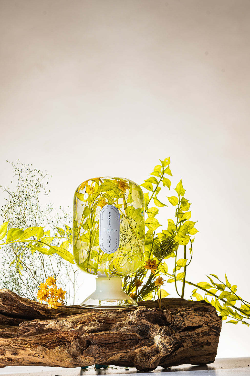 フェアリーテール(FA)