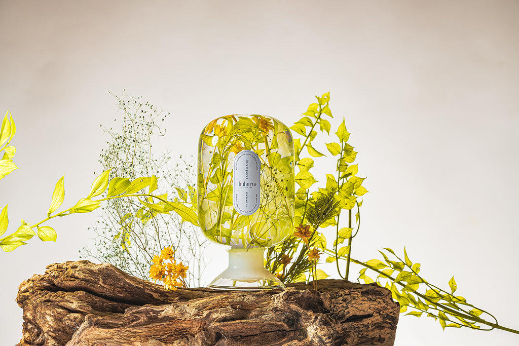 フェアリーテール(FA)