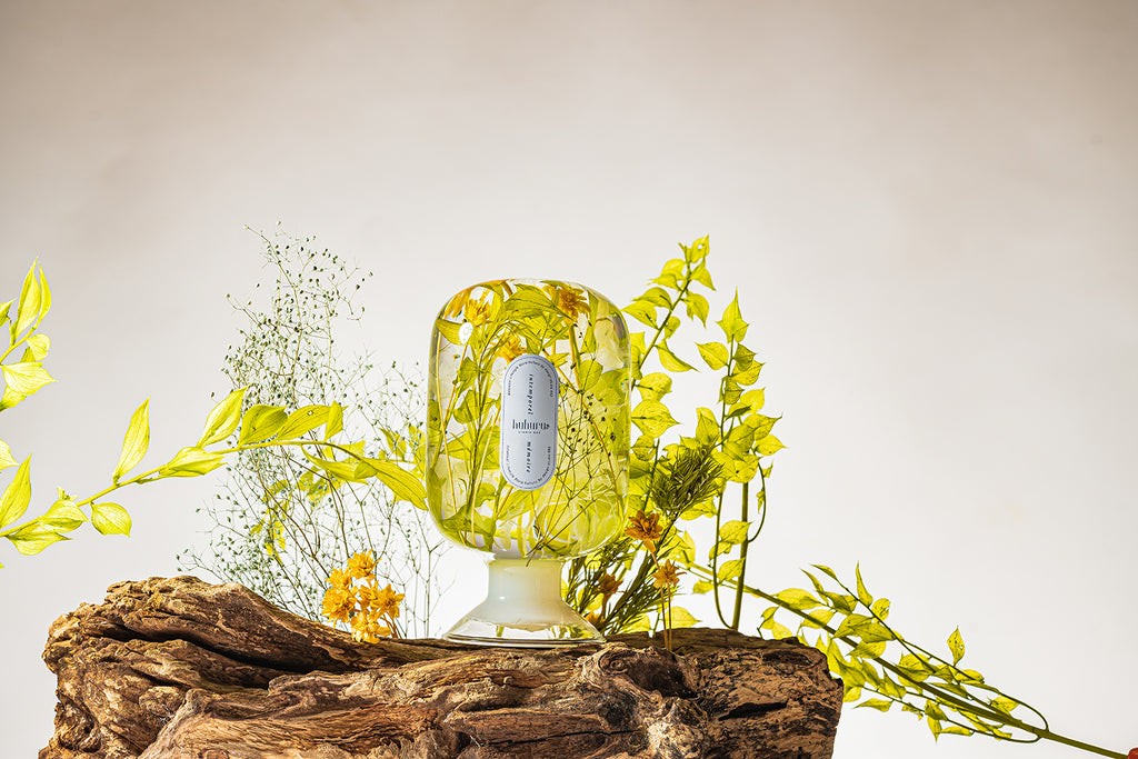 フェアリーテール(FA)