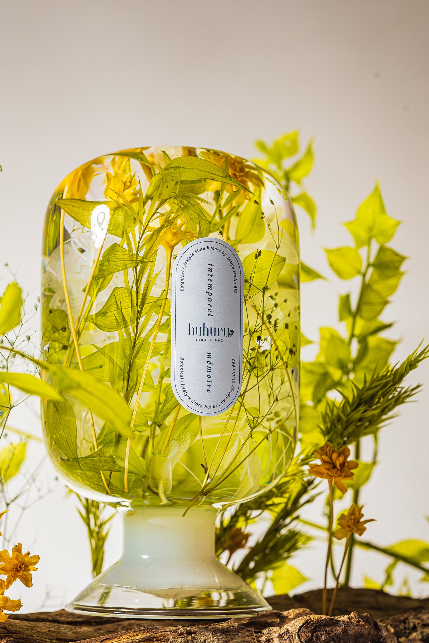 フェアリーテール(FA)