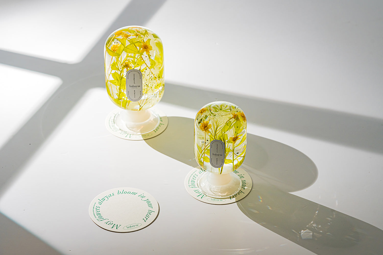 フェアリーテール(FA)