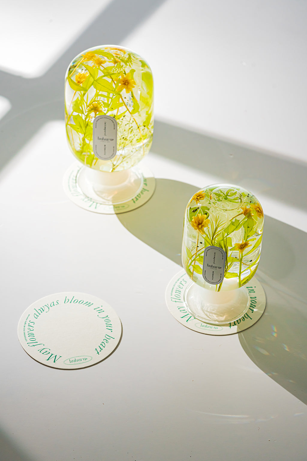 フェアリーテール(FA)